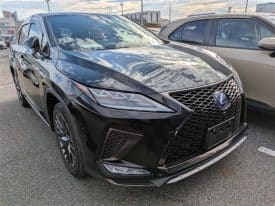 LEXUS RX F-SPORT 2022