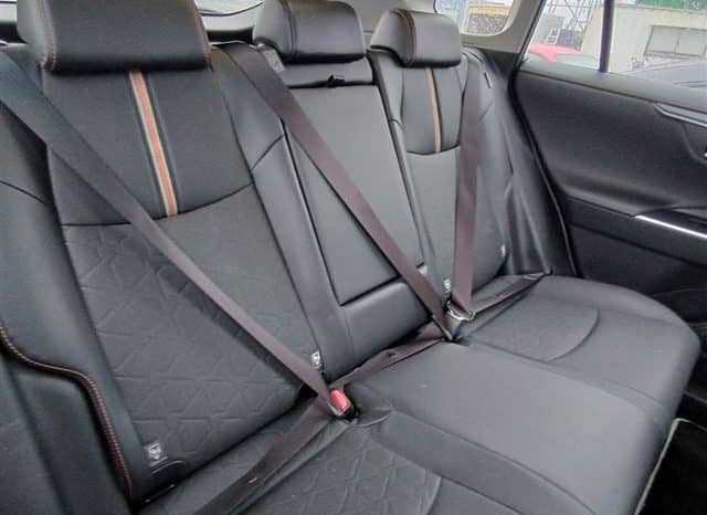 
								TOYOTA RAV4 ADVENTURE 4WD 2023 full									