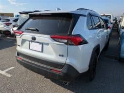 
										Toyota RAV4 2022 full									