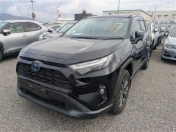 
										Toyota RAV4 2022 full									
