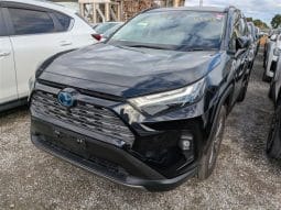 
										Toyota RAV4 2023 full									