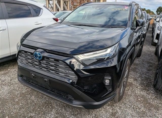 
								Toyota RAV4 2023 full									