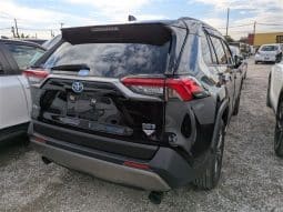 
										Toyota RAV4 2023 full									