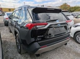 
										Toyota RAV4 2023 full									
