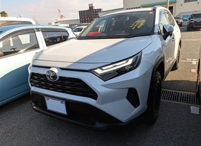 
								Toyota RAV4 2022 full									